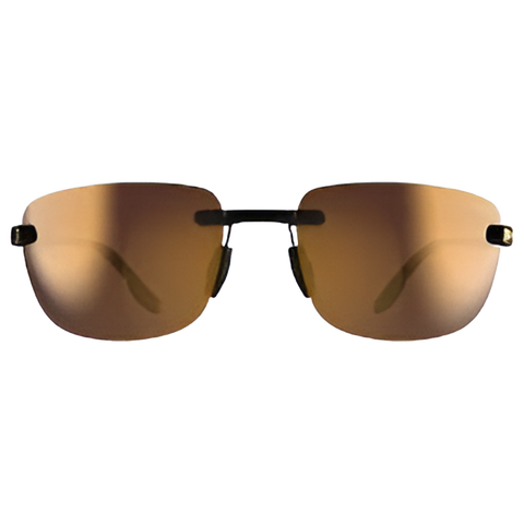 BEX BRACKLEY - Tortoise/Brown/Gold